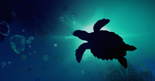 Course section image