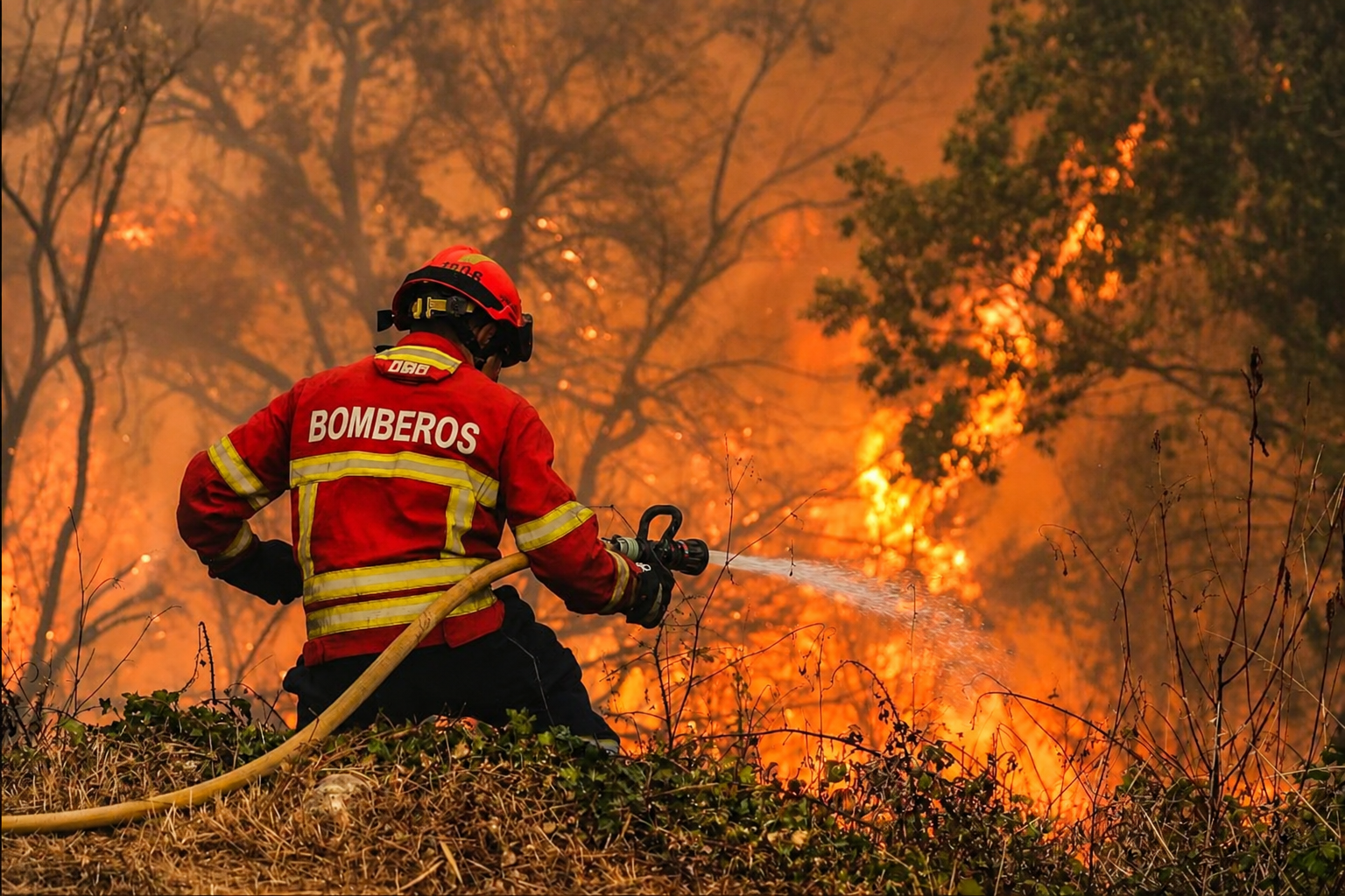 Bombero apagando un incendio forestal
